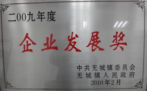 2009年度企業(yè)發(fā)展獎(jiǎng)